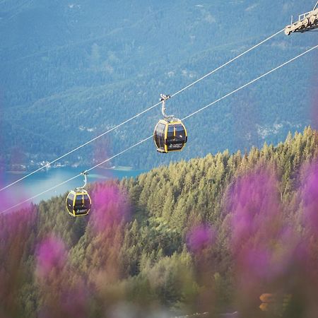 Apartement Zwoelferhorn Sankt Gilgen Εξωτερικό φωτογραφία